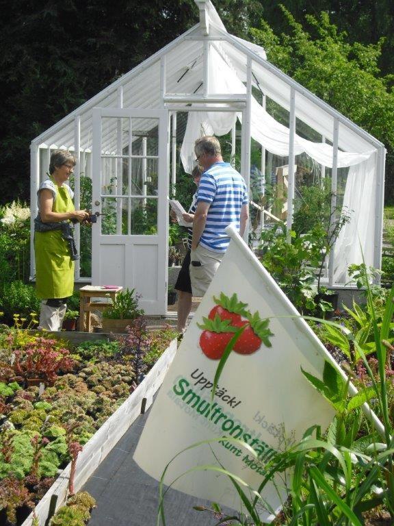 Perenner Pa Bakgarden Acomodação com café da manhã Motala Exterior foto